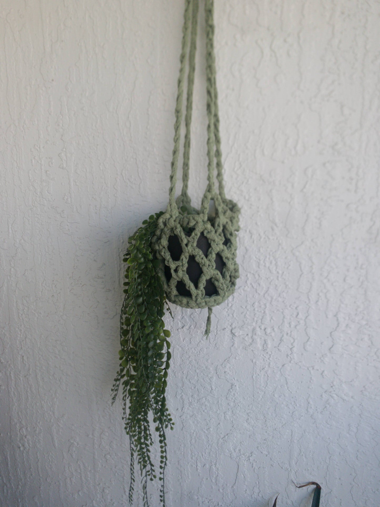 Plant Hanger